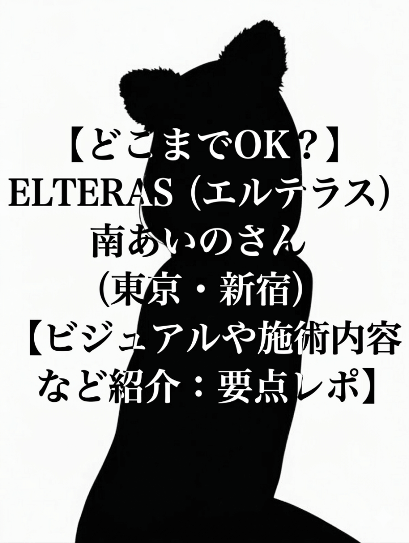 【どこまでOK？】ELTERAS (エルテラス) 南あいのさん（東京・新宿）【ビジュアルや施術内容など紹介：要点レポ】